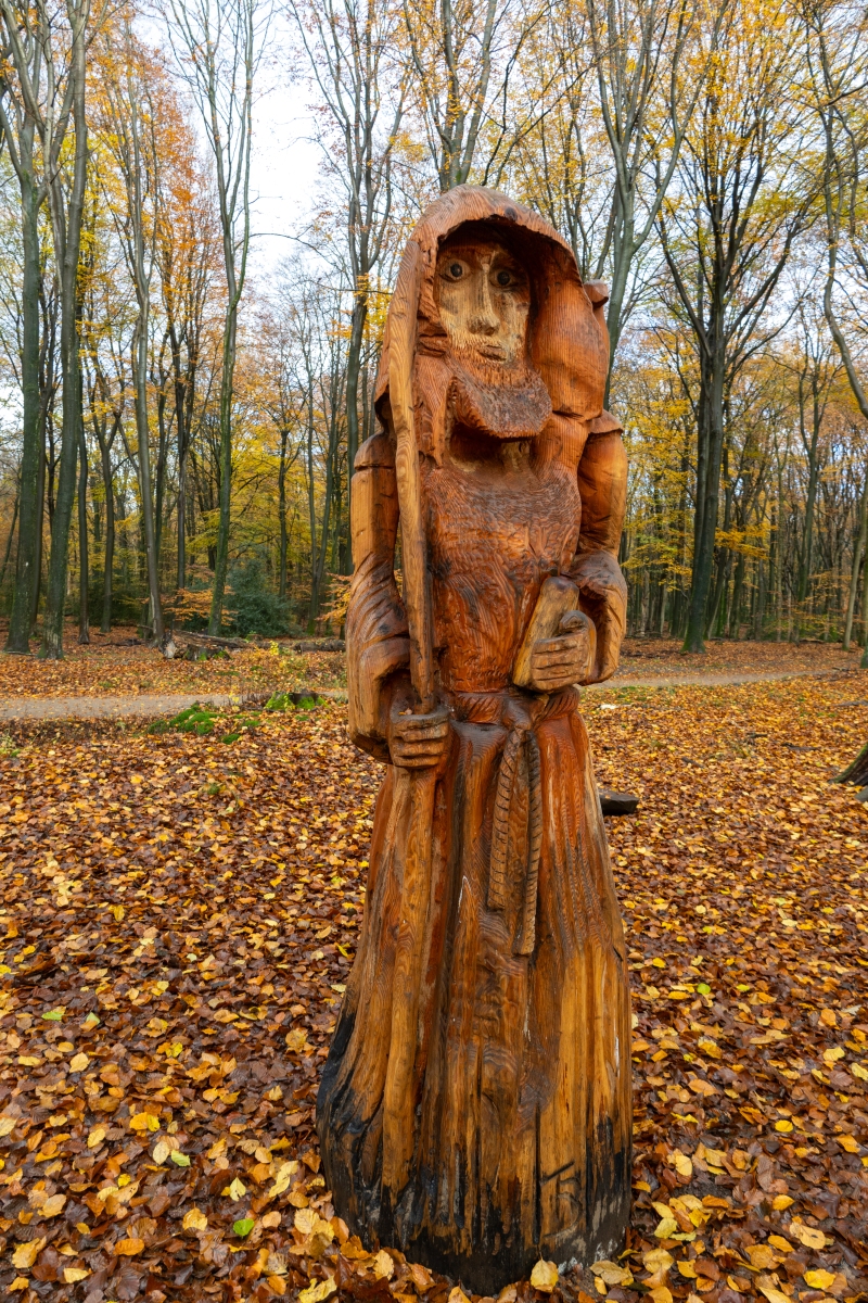 Ine 2024 11 17naamloos 85