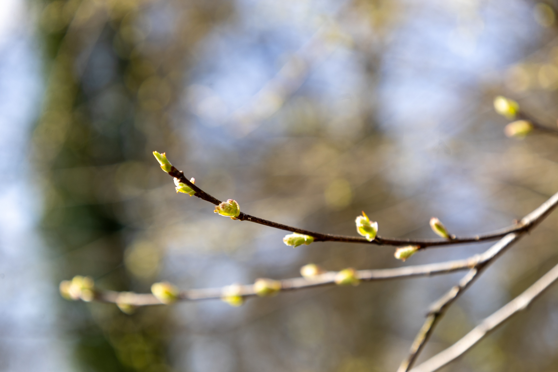 Ine 2025 03 23naamloos 17