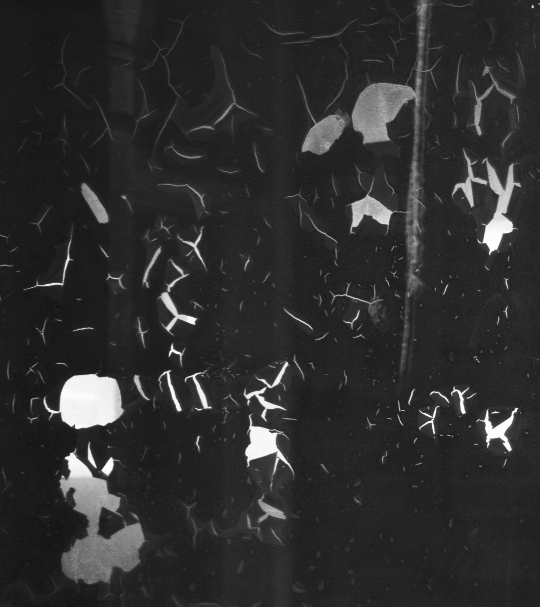 Ine 2025 03 23naamloos 40 kopie 1