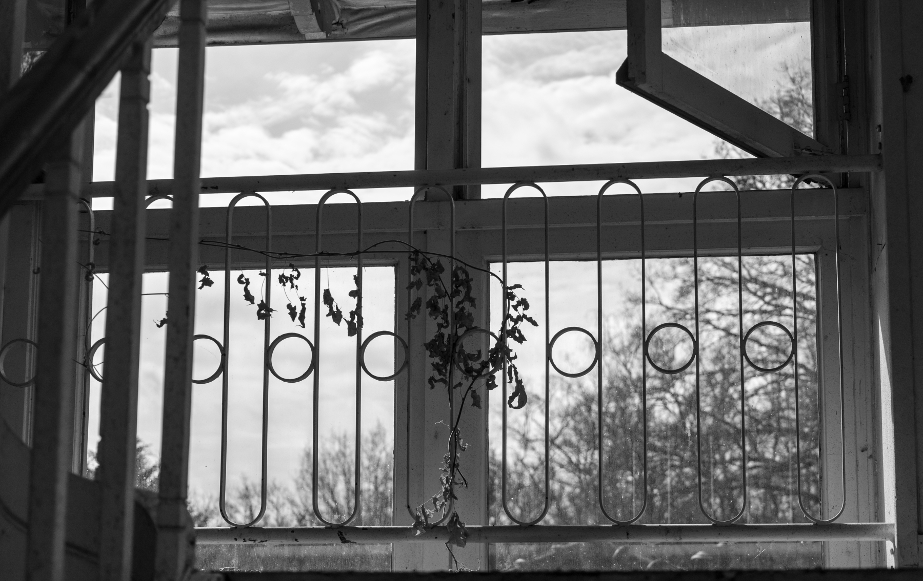 Ine 2025 03 23naamloos 47