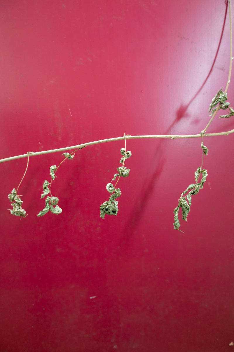 Ine 2025 03 23naamloos 48