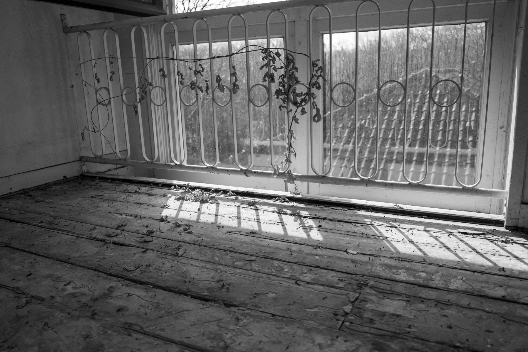 Ine 2025 03 23naamloos 52