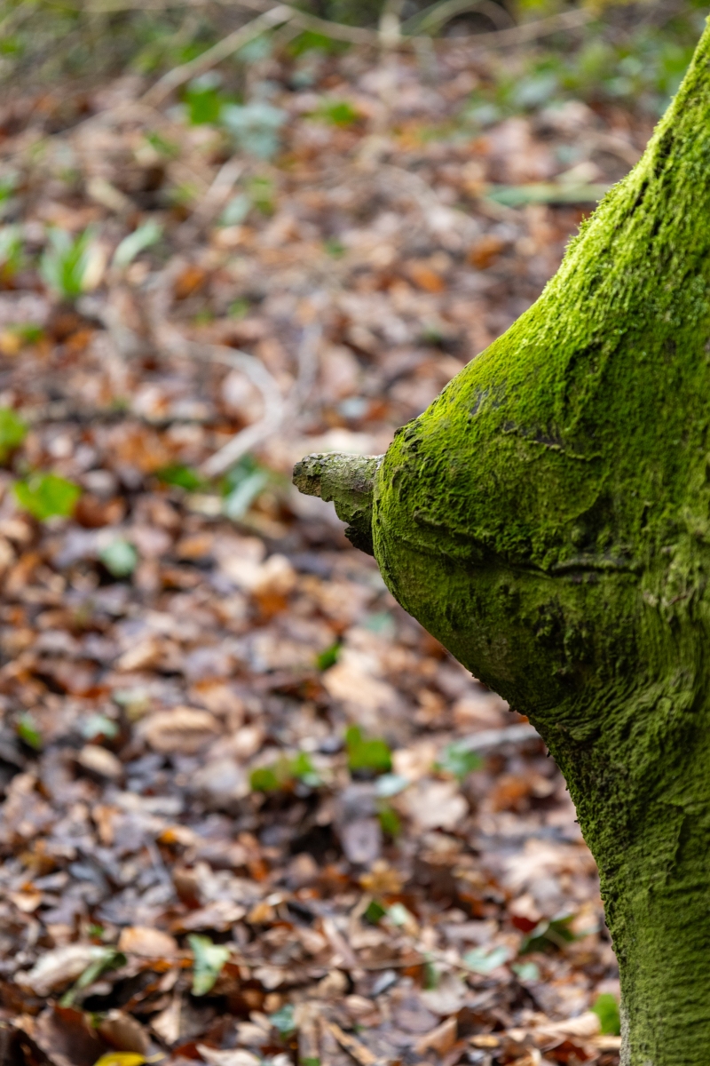 Ine 2025 03 23naamloos