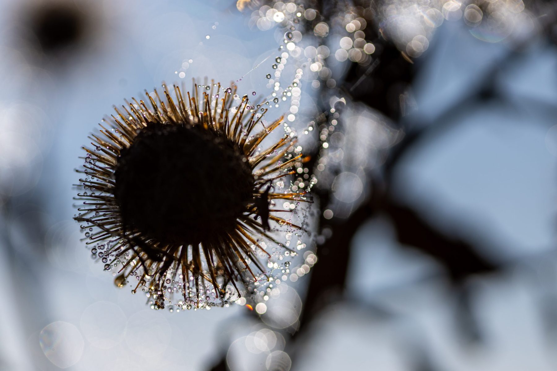 Ine 2025 09 28naamloos 12 scaled