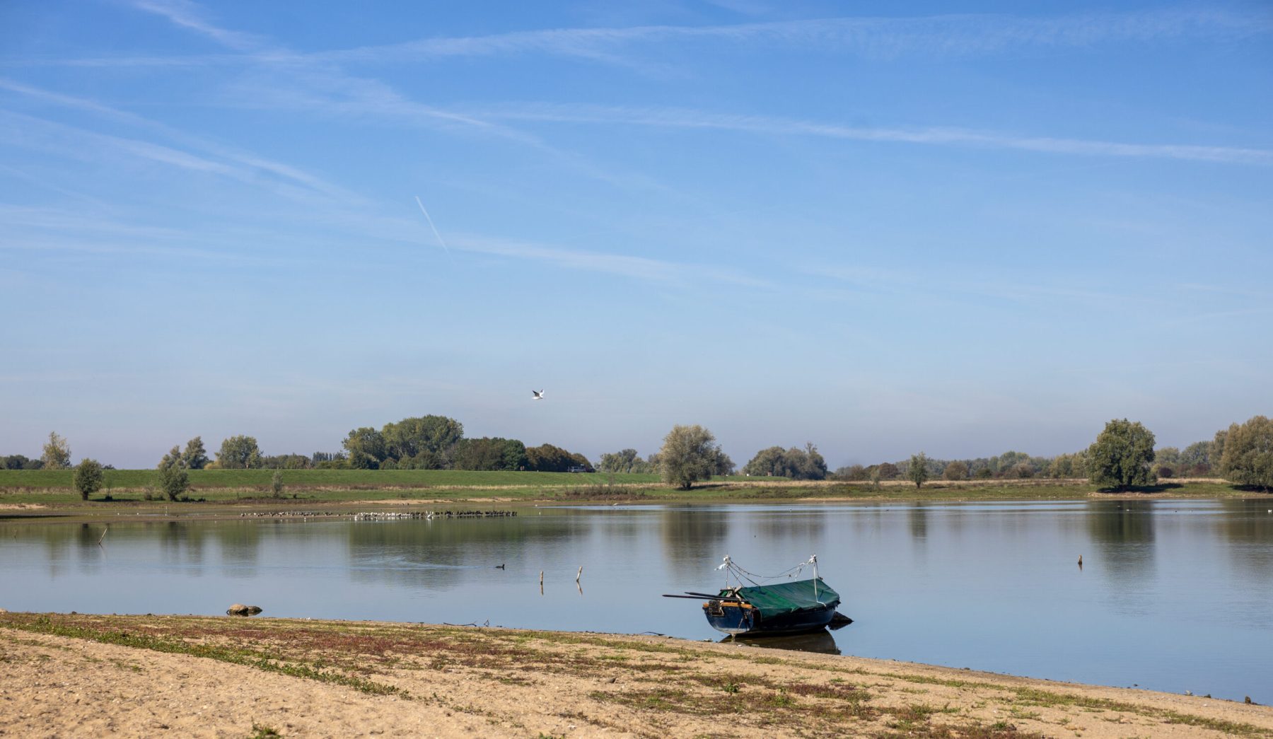 Ine 2025 09 28naamloos 125 scaled