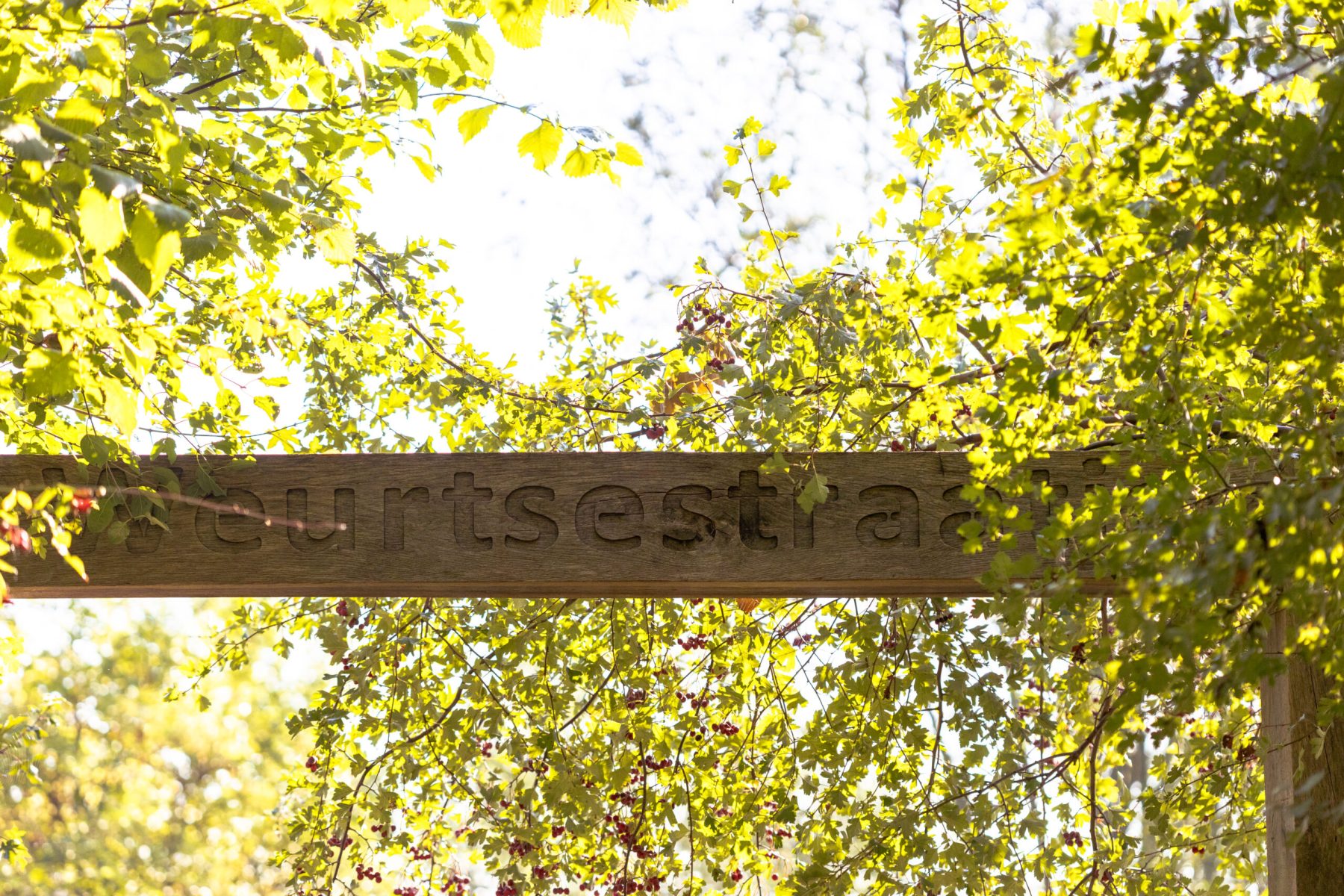 Ine 2025 09 28naamloos 25 scaled