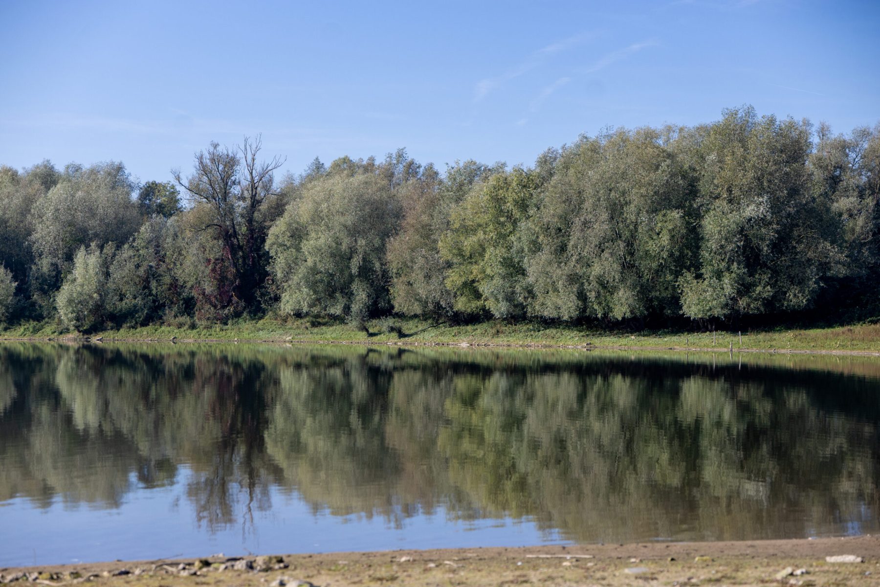 Ine 2025 09 28naamloos 68 scaled