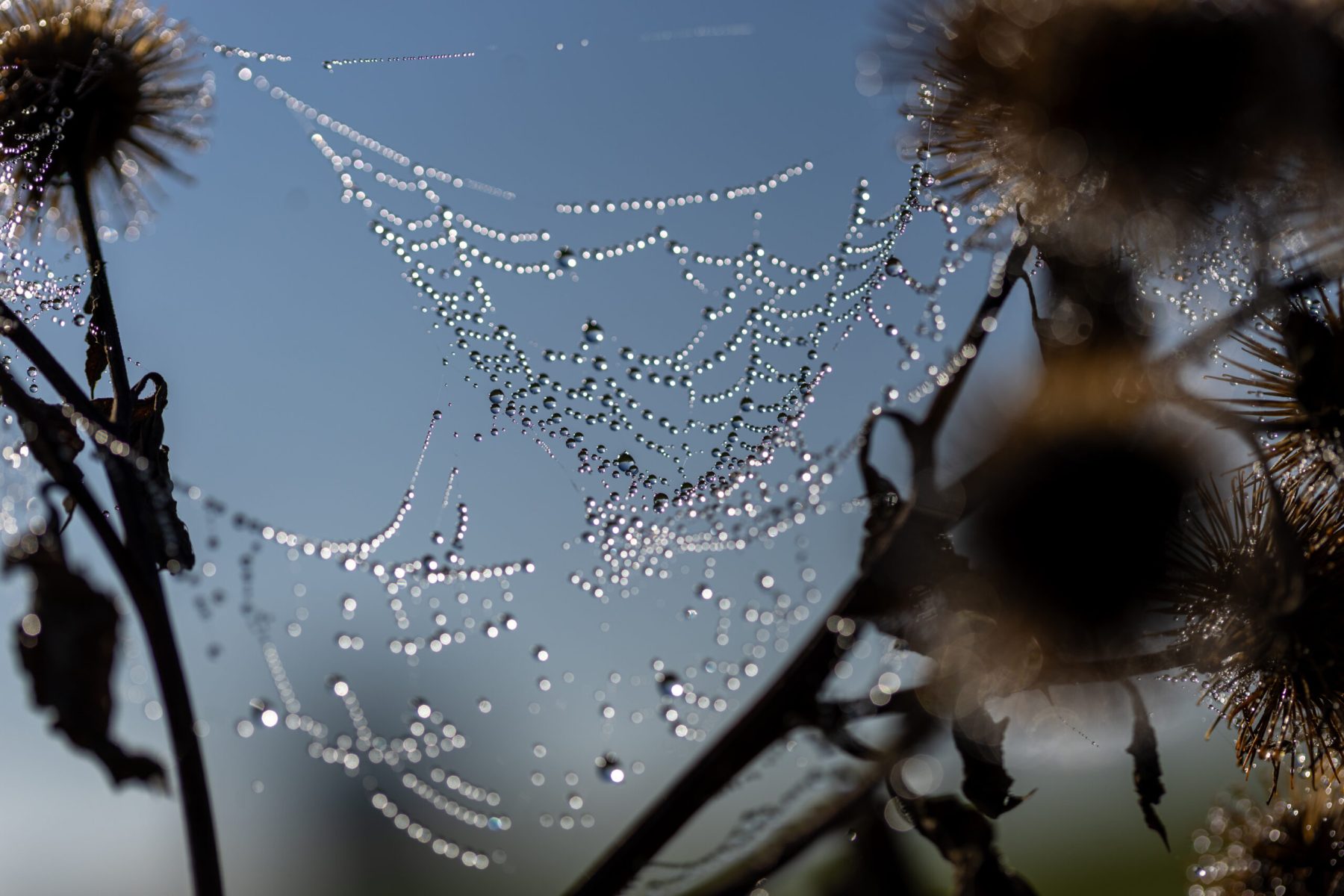 Ine 2025 09 28naamloos 7 scaled