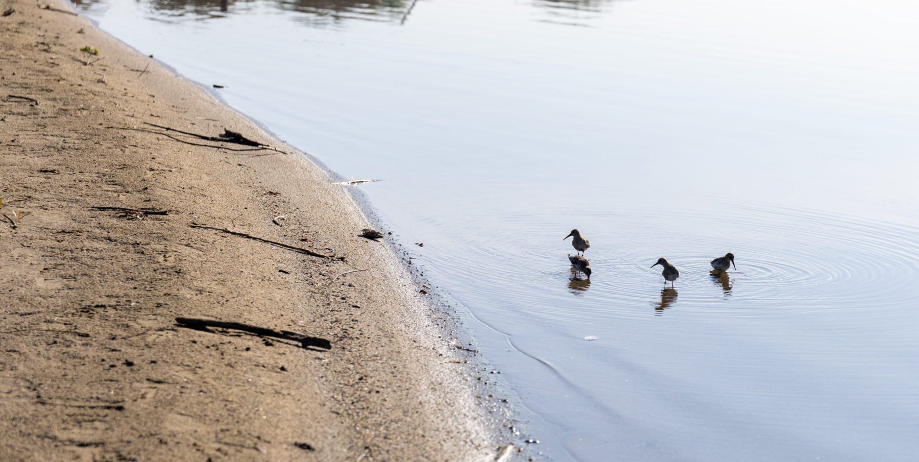 Ine 2025 09 28naamloos 79 scaled