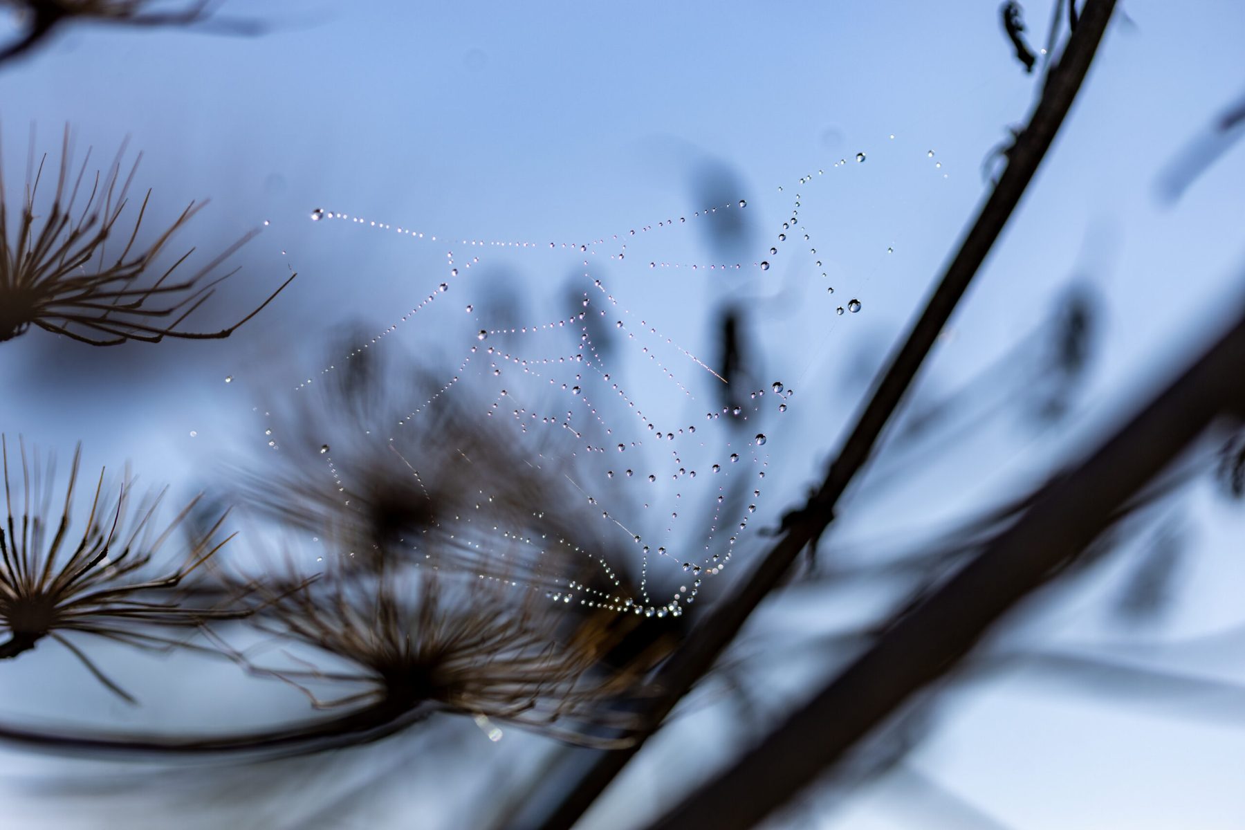 Ine 2025 09 28naamloos 88 scaled