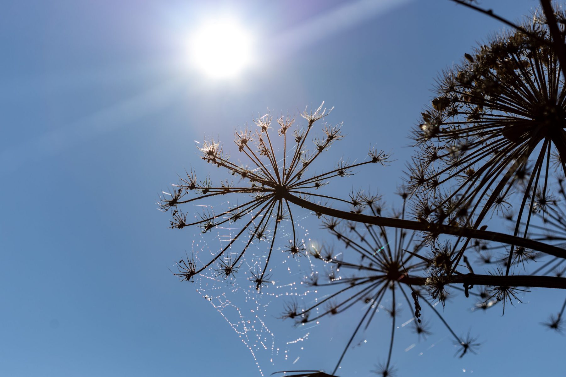 Ine 2025 09 28naamloos 91 scaled