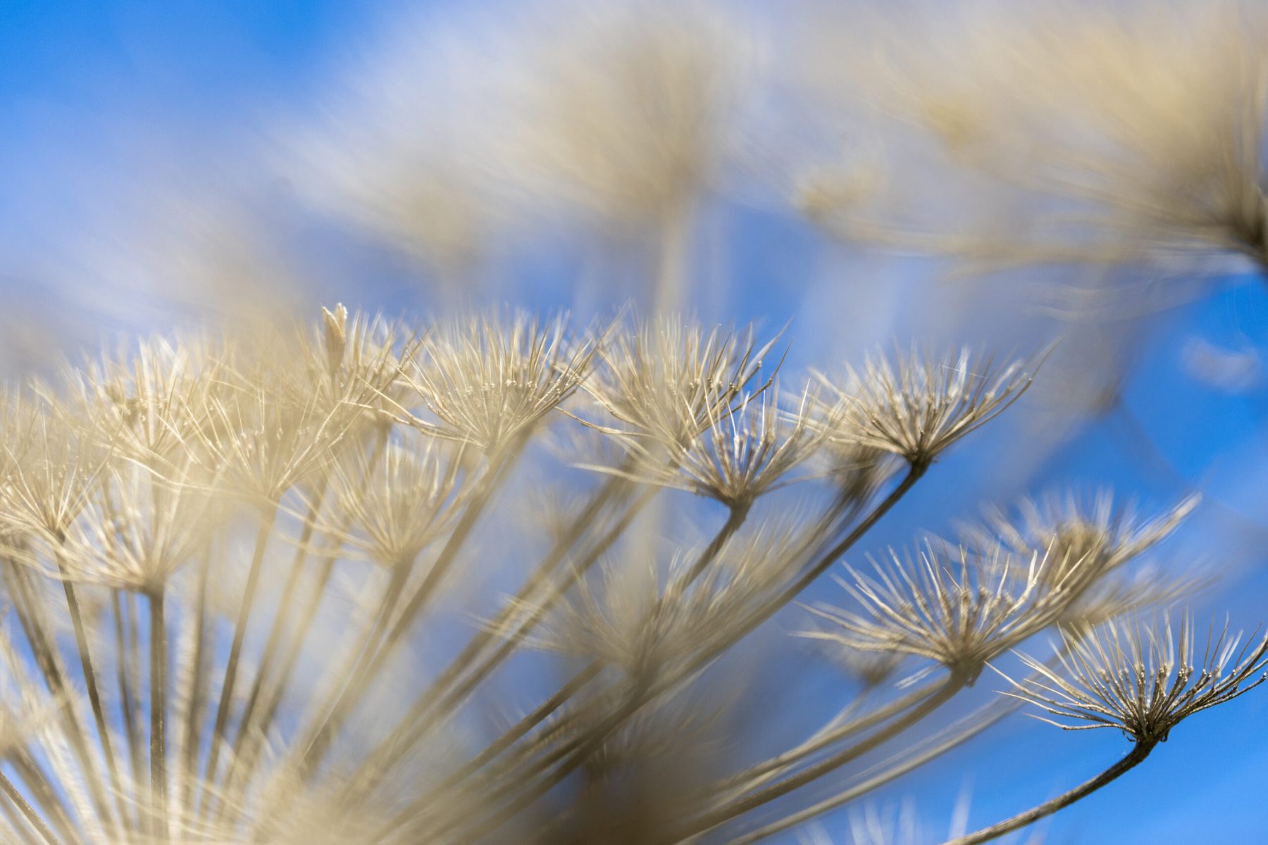 Ine 2025 09 28naamloos 92 scaled