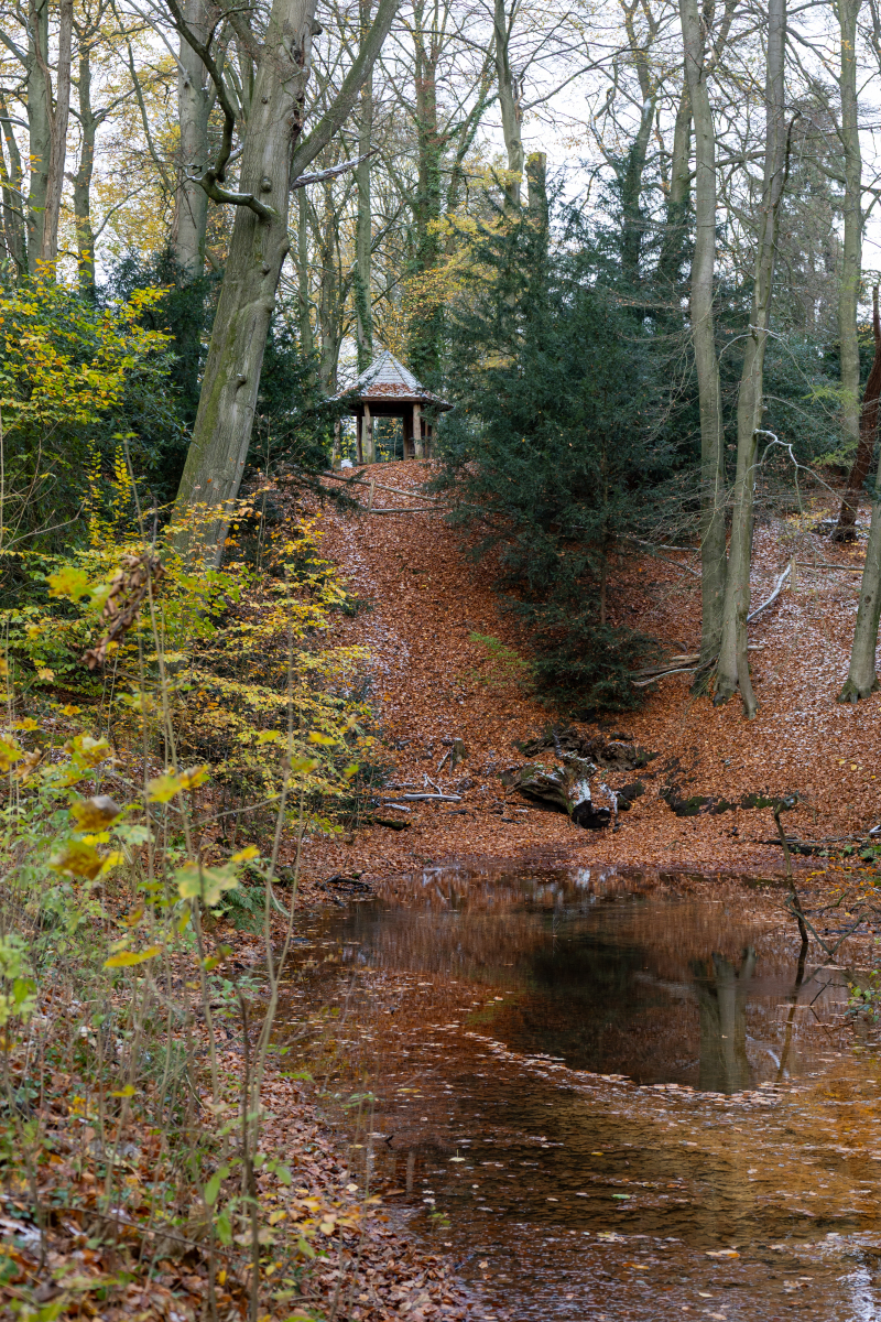 Ine 2025 11 23naamloos 102