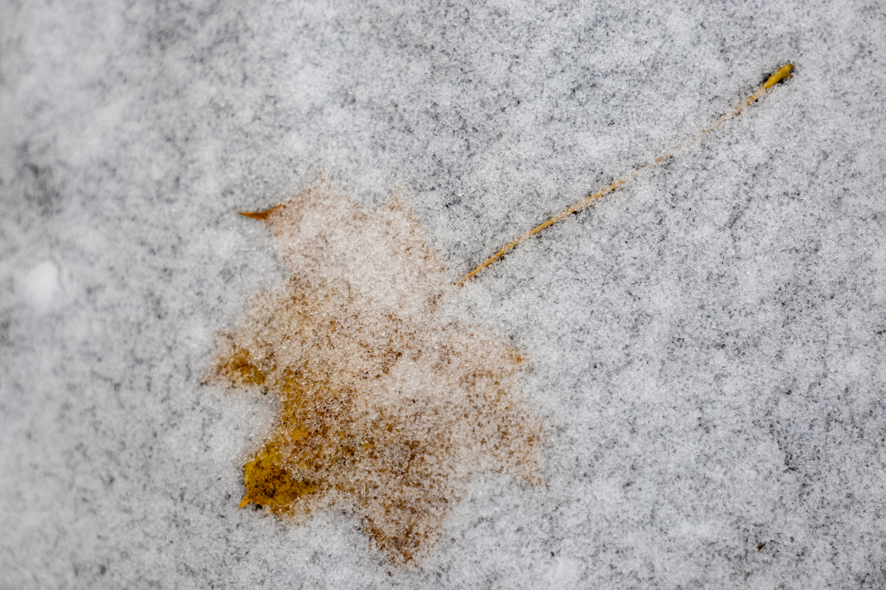 Ine 2025 11 23naamloos 129