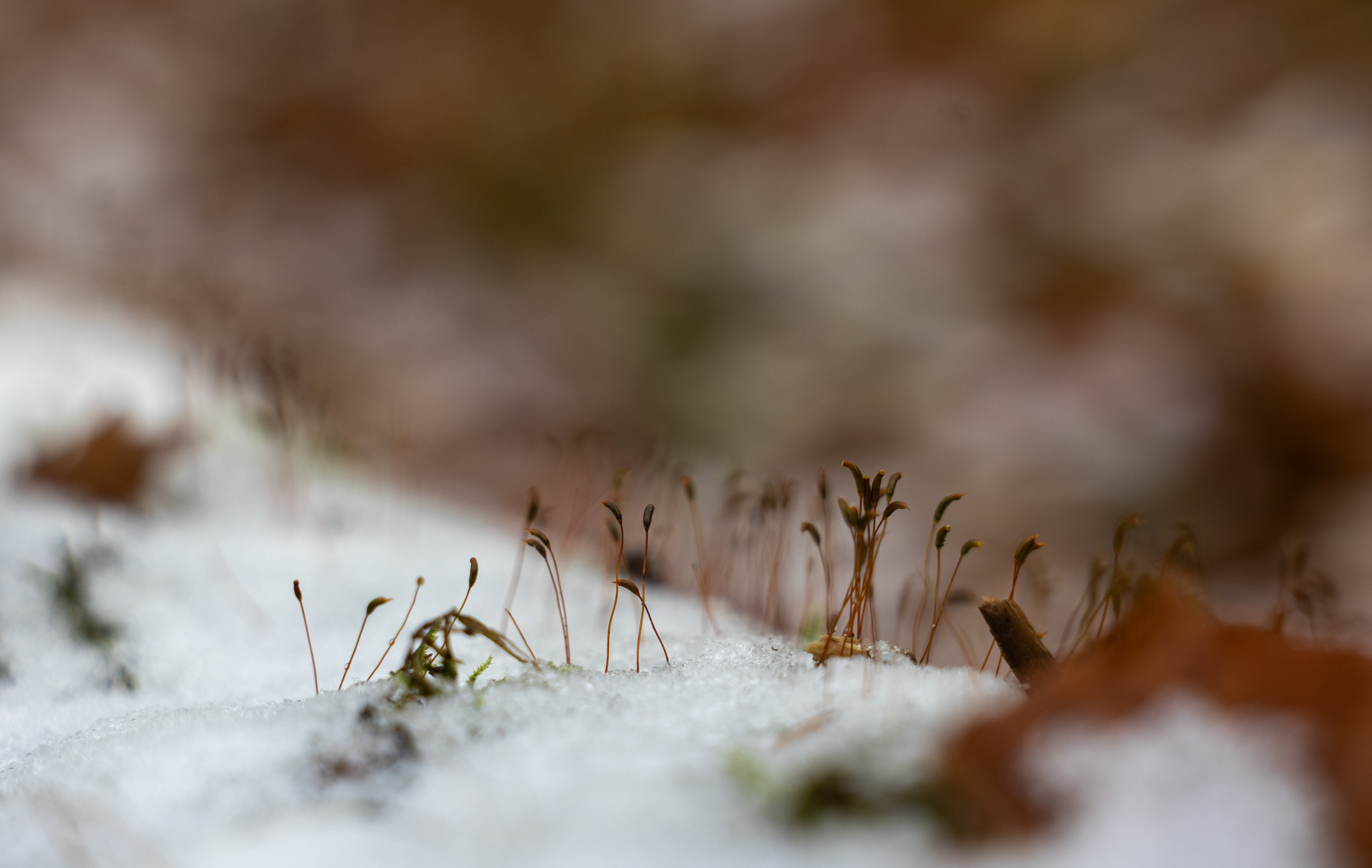 Ine 2025 11 23naamloos 133