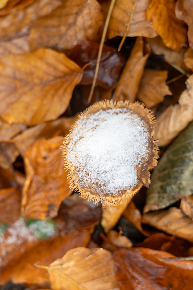 Ine 2025 11 23naamloos 140