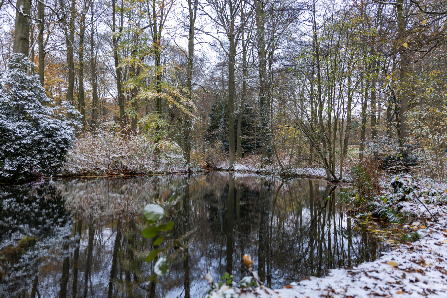 Ine 2025 11 23naamloos 18