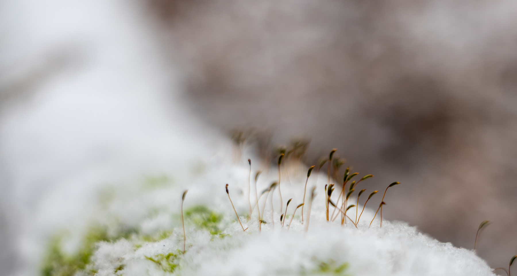 Ine 2025 11 23naamloos 34