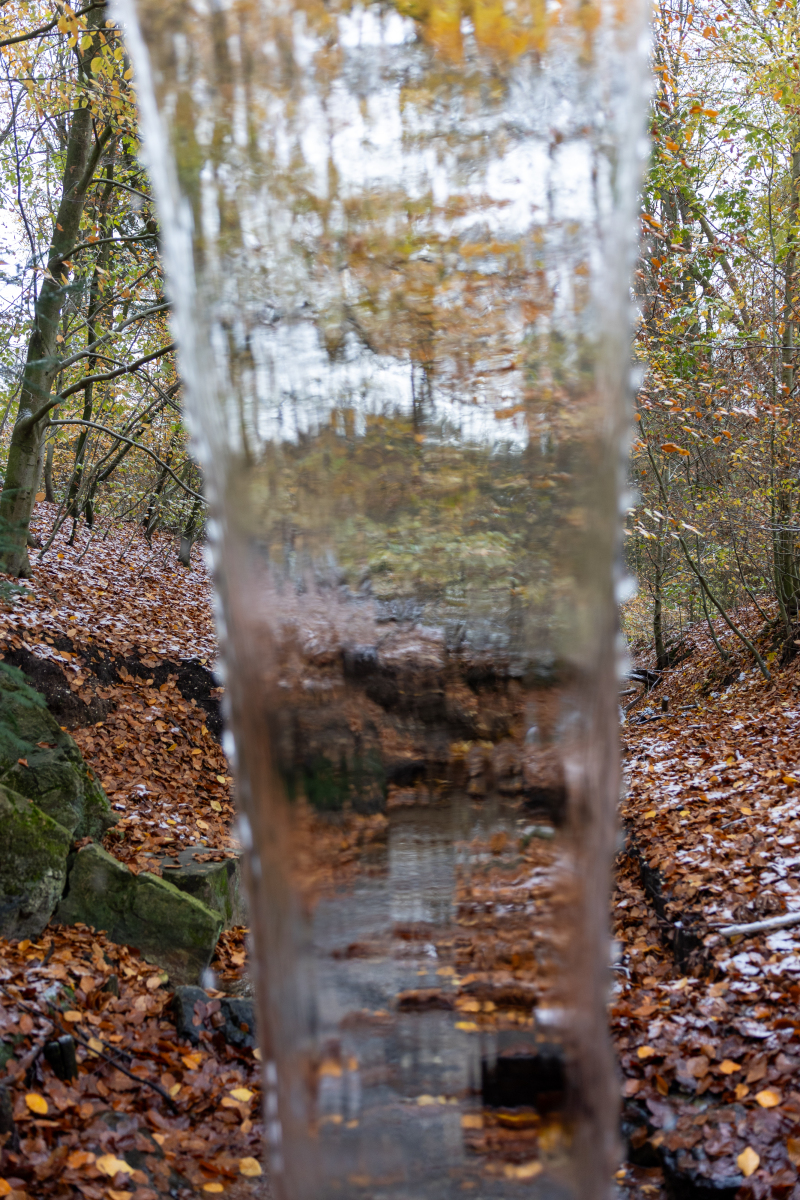 Ine 2025 11 23naamloos 44