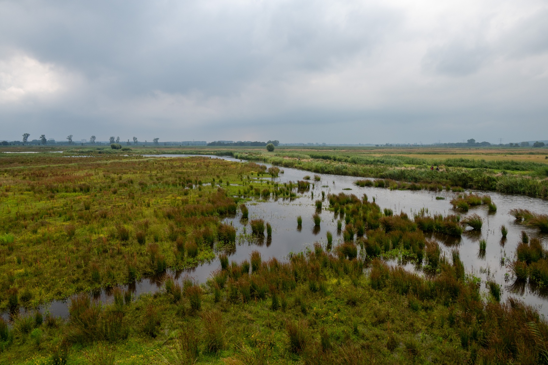 Binnenveldse Hooilanden Bennekom 3644