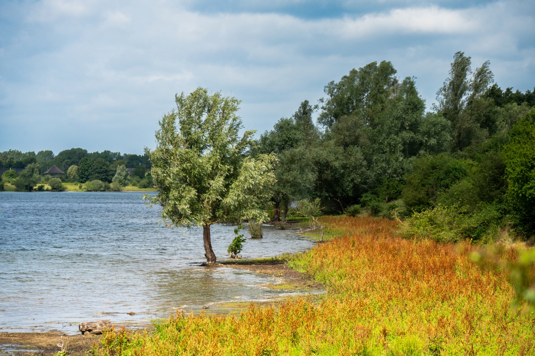 Kraaijenbergse plassen 1752