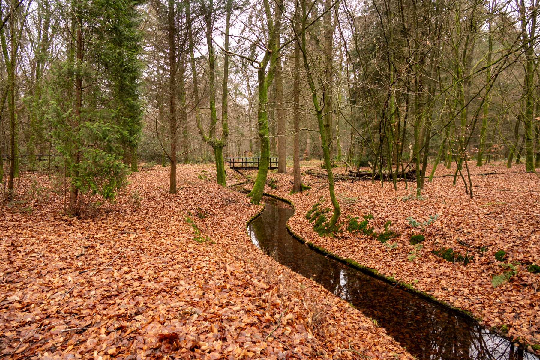 Kroondomein Apeldoorn 2403