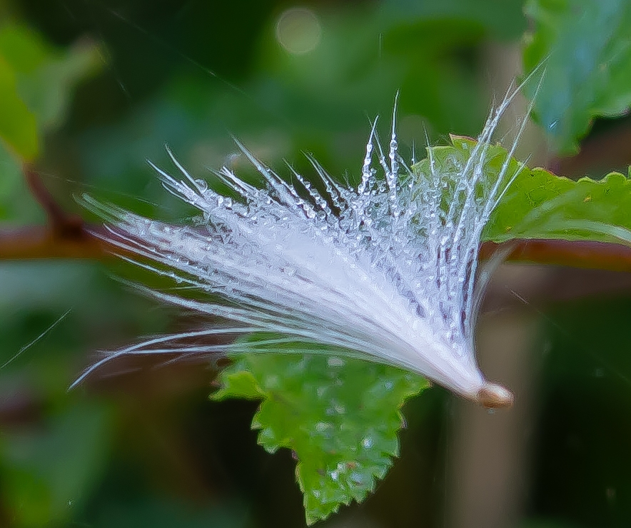 Landgoed Vrijland 8258