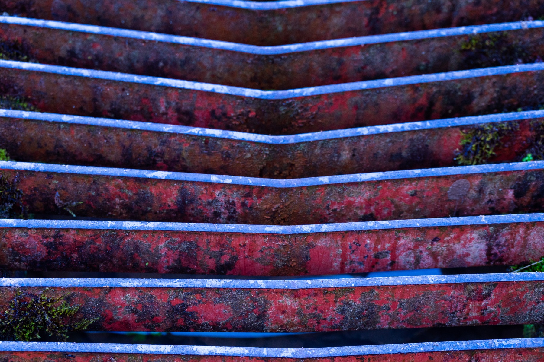 Onzalige bossen 0722