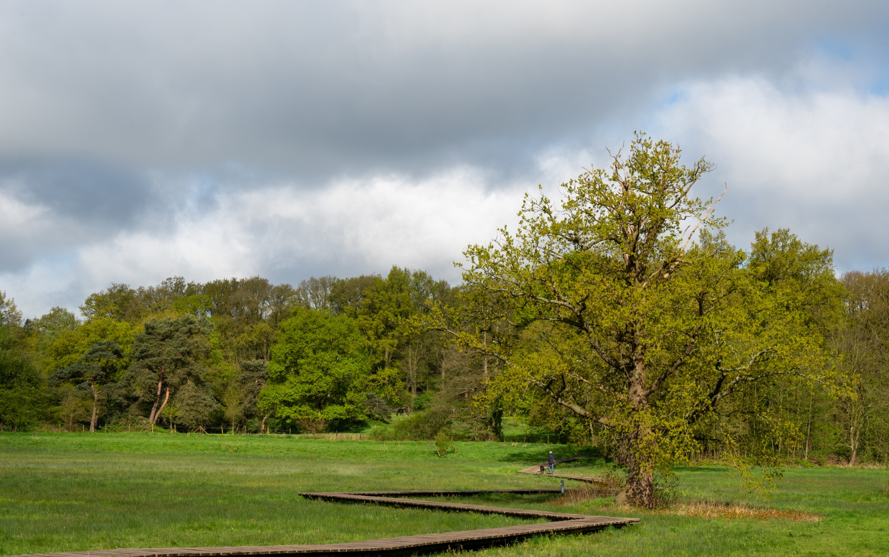 Renkums Beekdal 5625