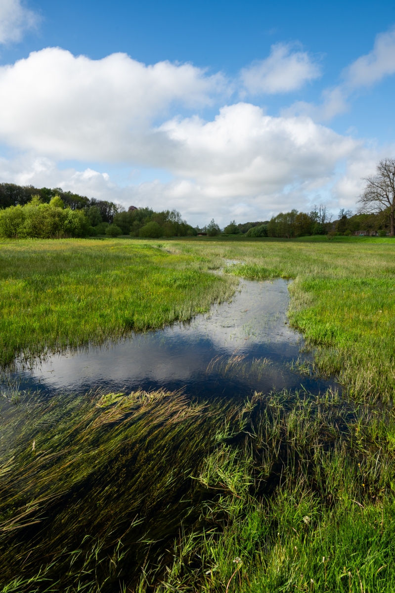 Renkums Beekdal 5632