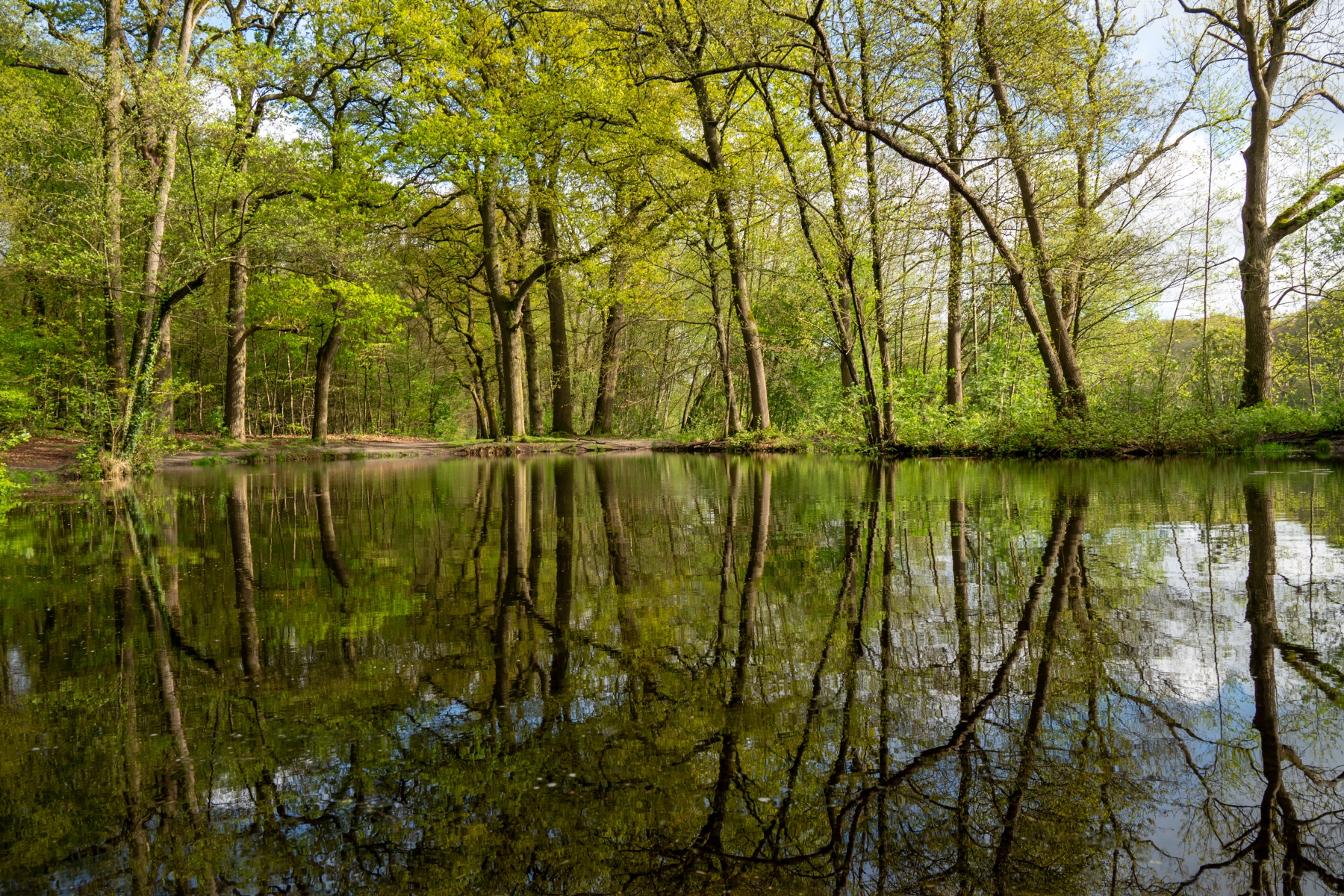 Renkums Beekdal 5647