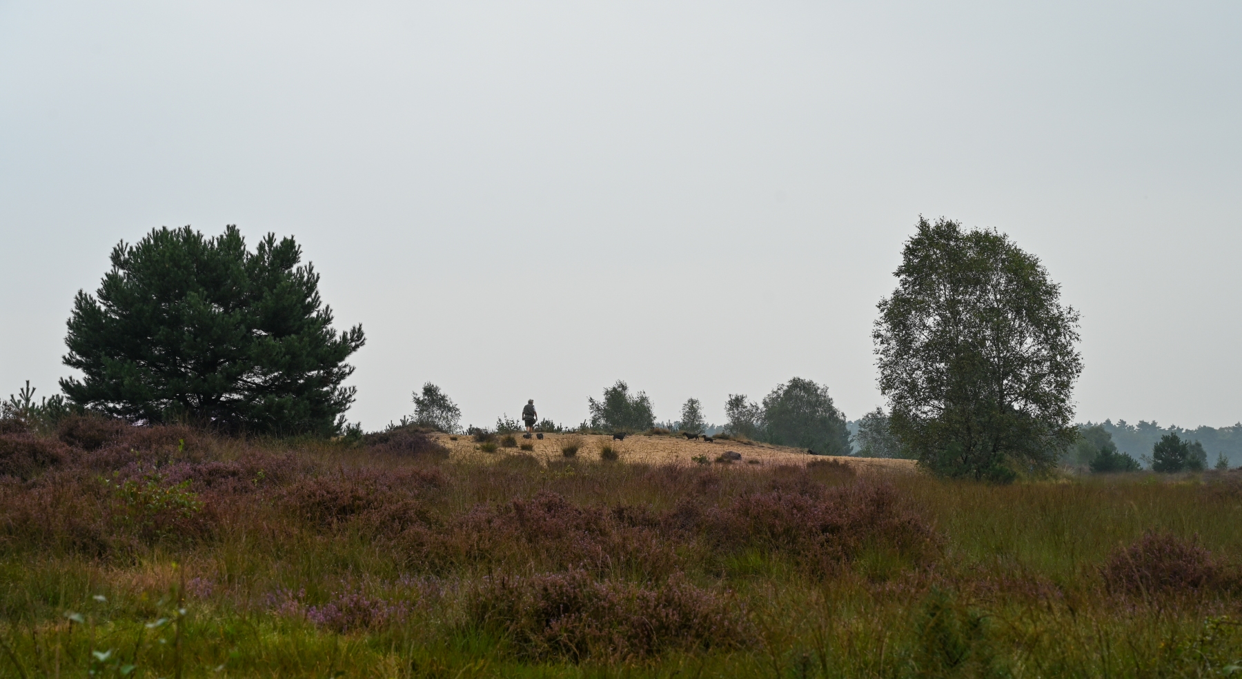 Rozendaaalse veld 0069