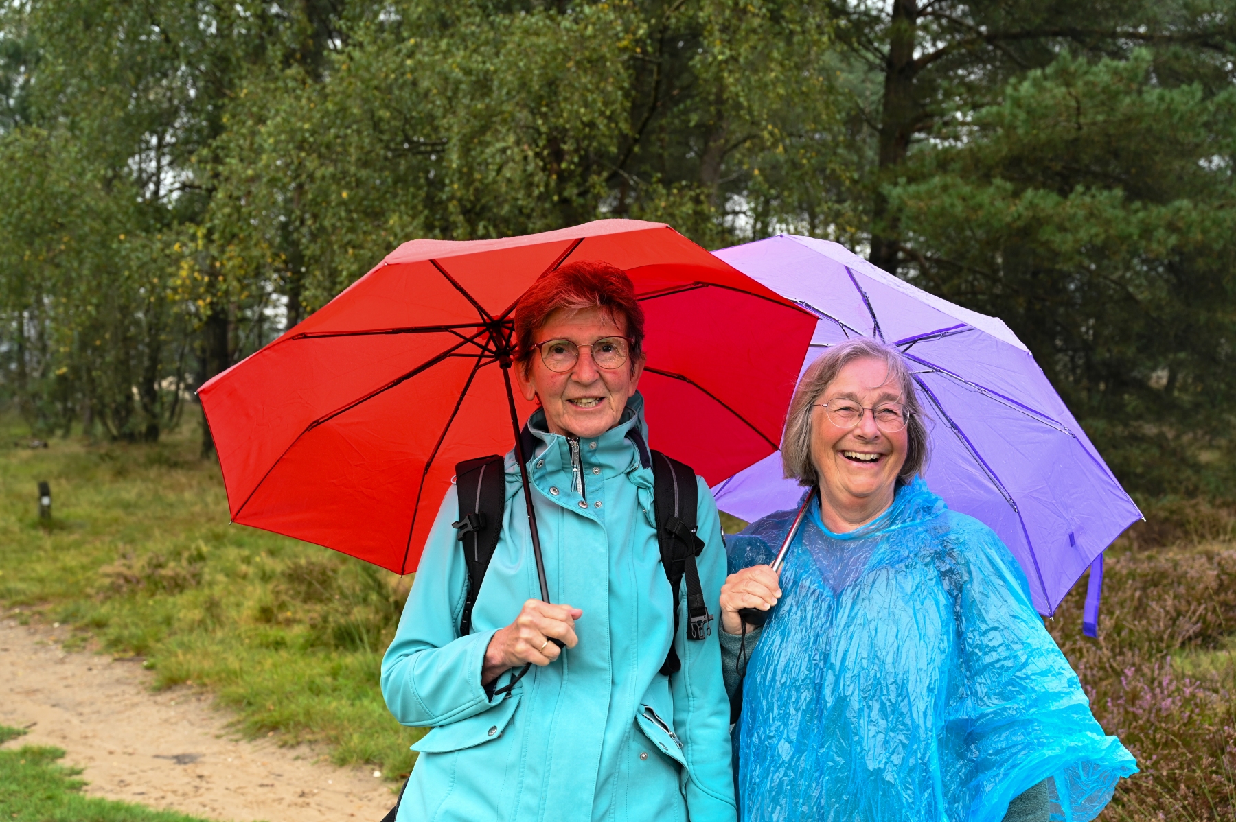 Rozendaaalse veld 0089