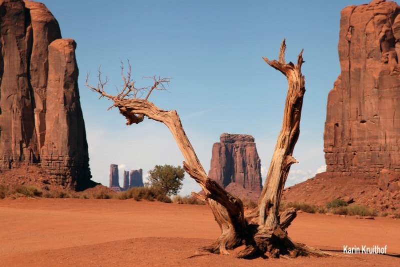 Foto afdrukken Karin Kruithof B Custom 1