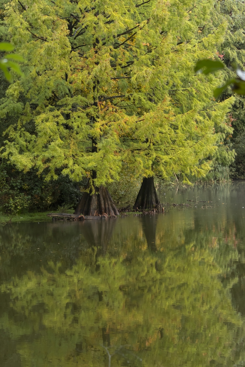 151023 Wandelbos Tilburg 8801