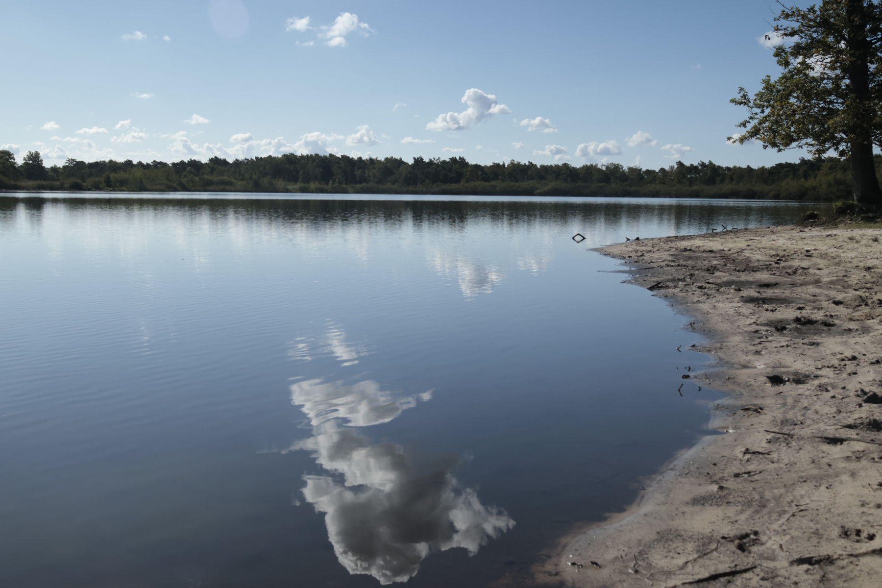 Belsversven 240825 Oisterwijk 48A1323