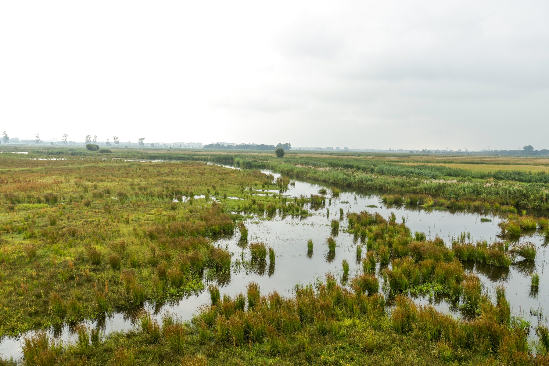 Binnenveldse Hooilanden 210724 Bennekom 48A0196