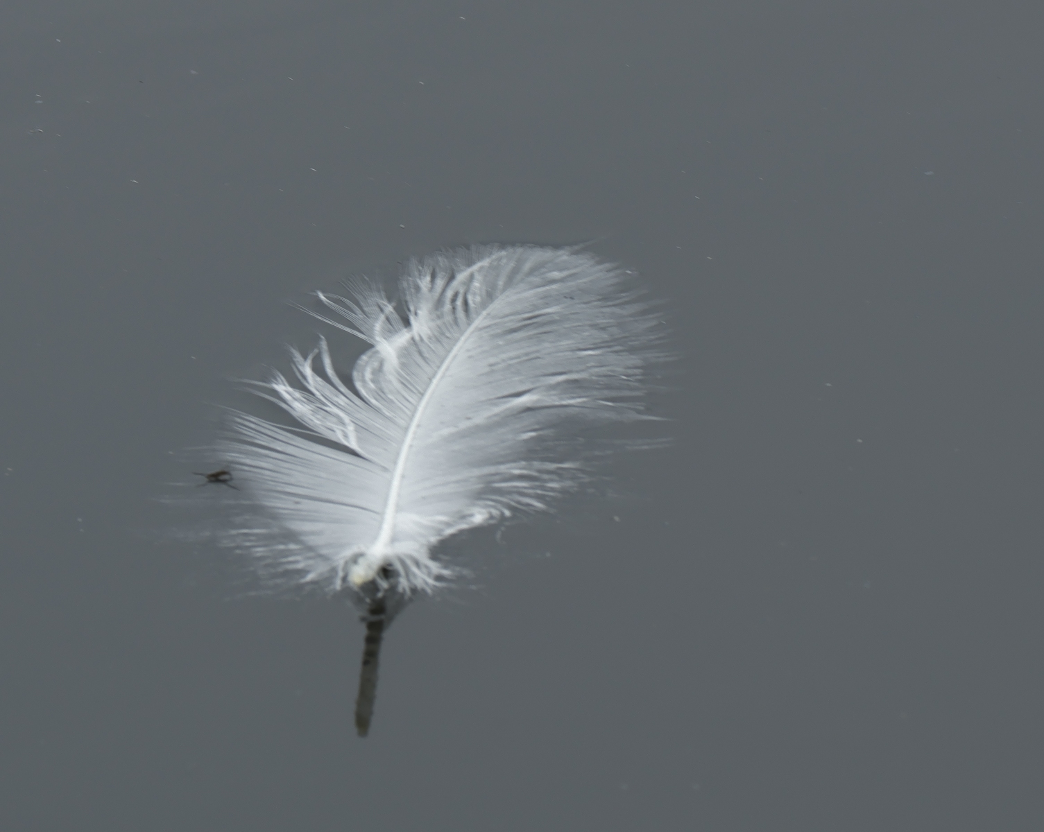 Binnenveldse Hooilanden 210724 Bennekom 48A0240