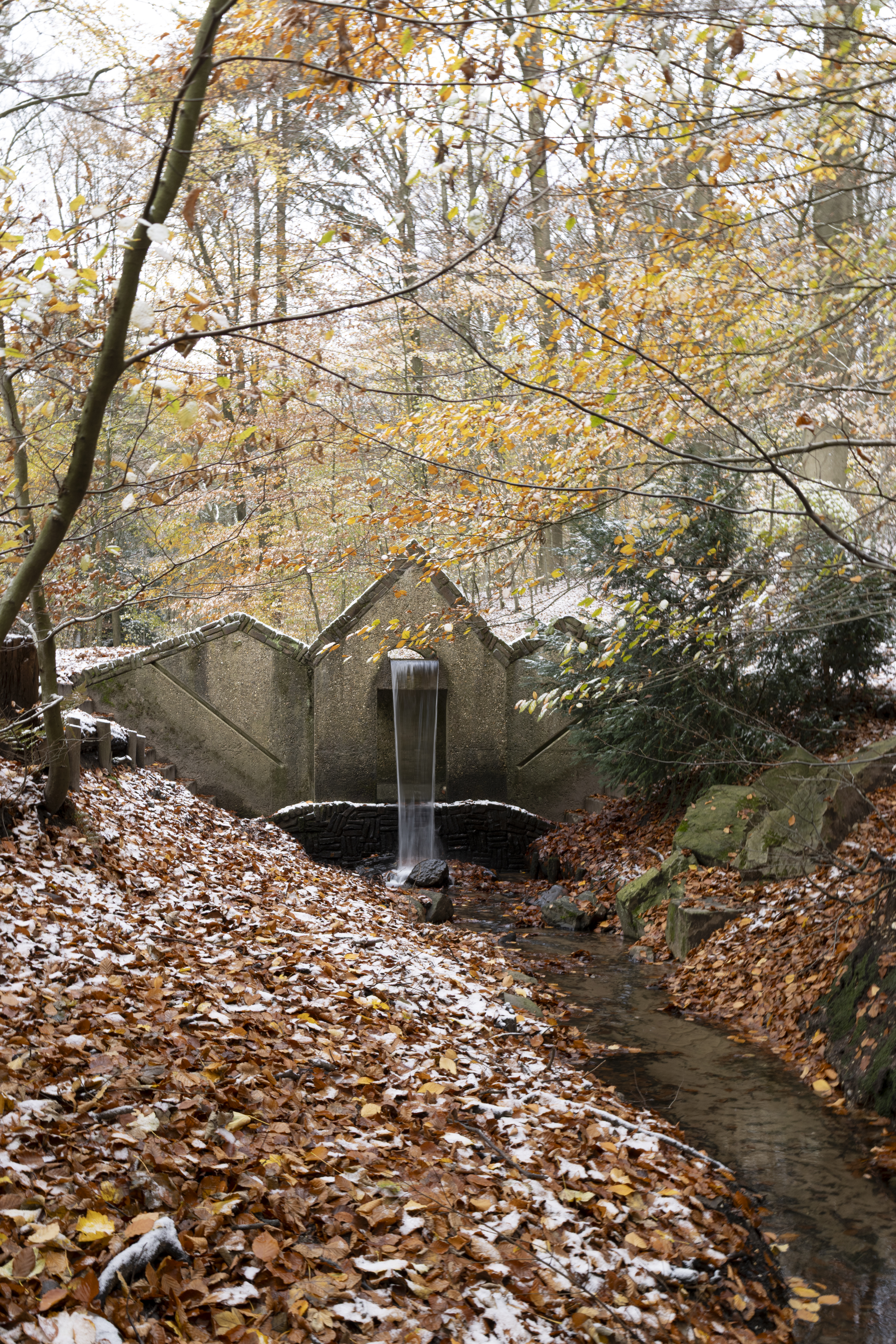 Hemelse Berg 231125 Oosterbeek 48A1796