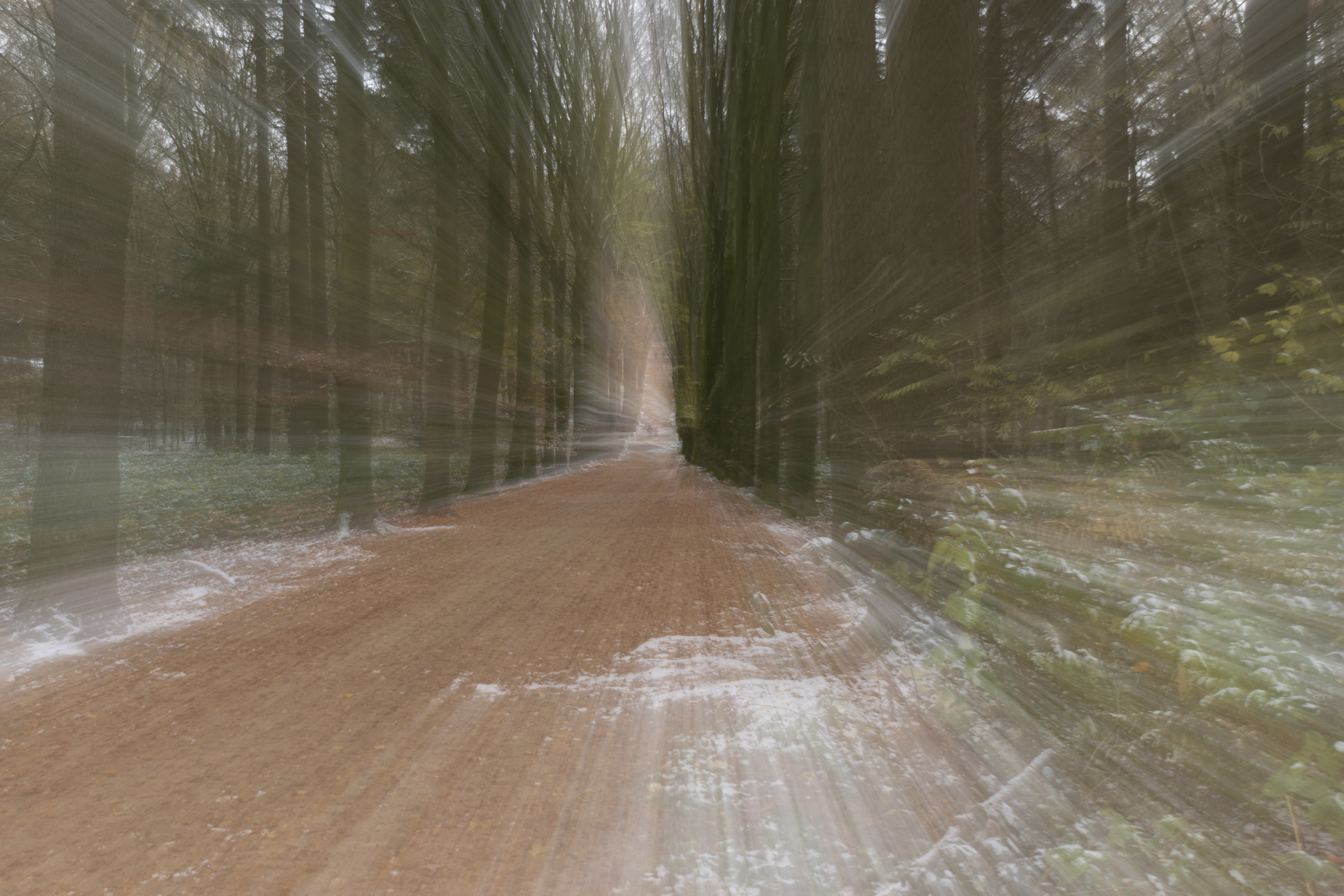 Hemelse Berg 231125 Oosterbeek 48A1850