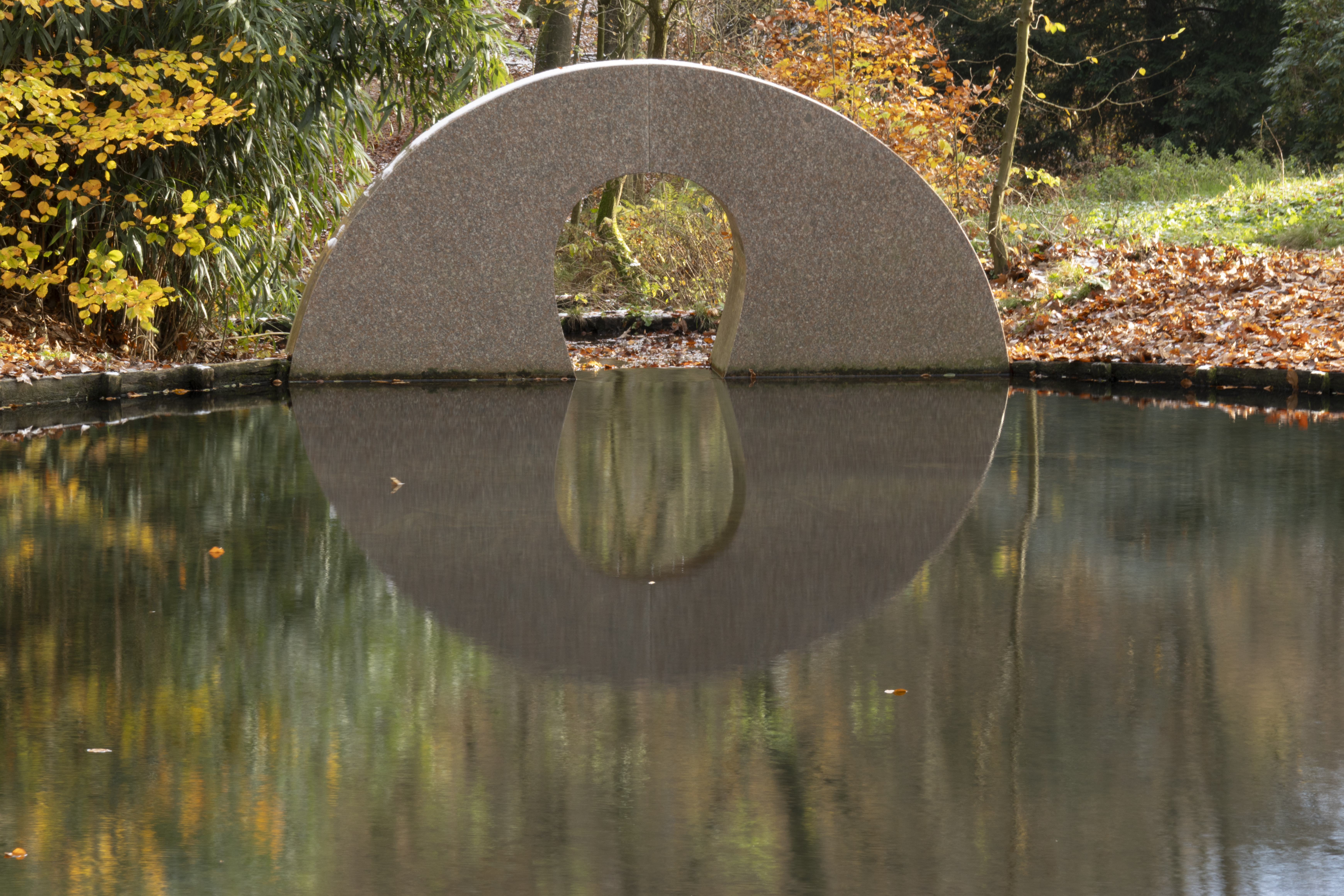 Hemelse Berg 231125 Oosterbeek 48A1878