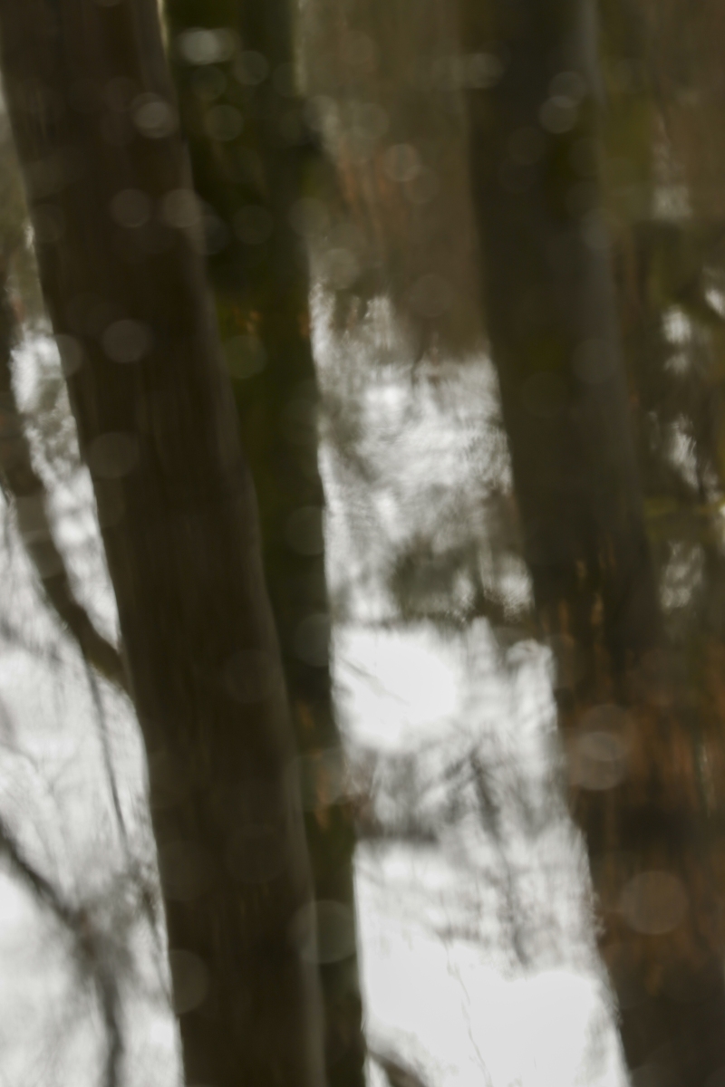 Kasteel Hoekelum 240324 Bennenkom 48A9448