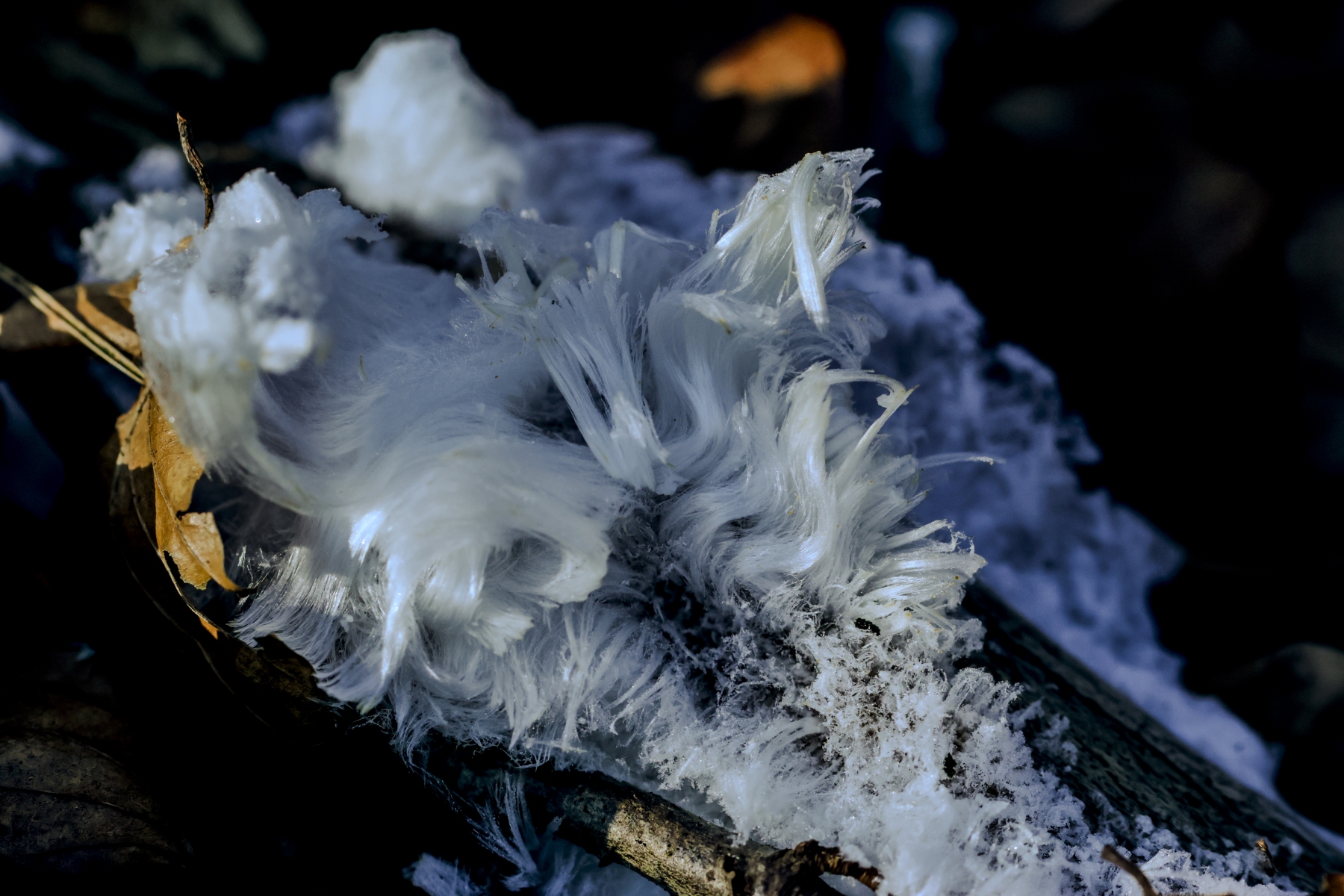 Posbank 160225 De Steeg 48A0733