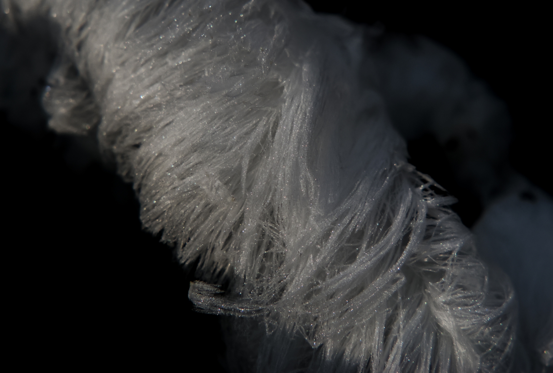 Posbank 160225 De Steeg 48A0750