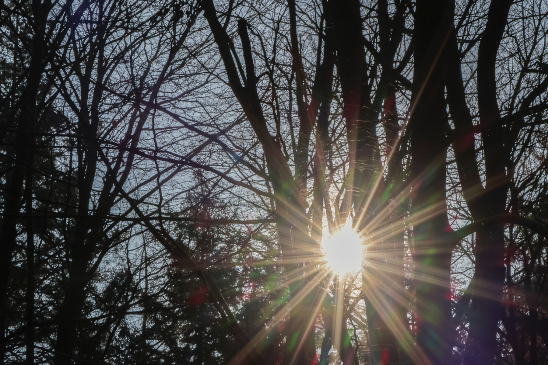 Posbank 160225 De Steeg 48A0755