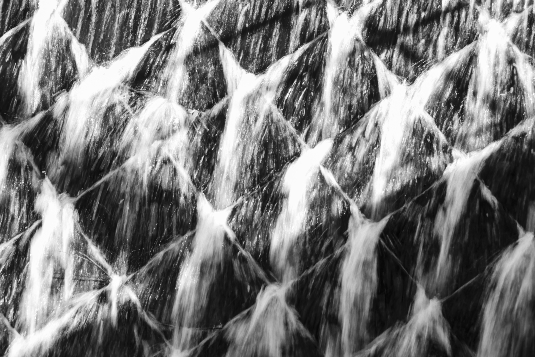 Stad 290924 Den Bosch 48A0475