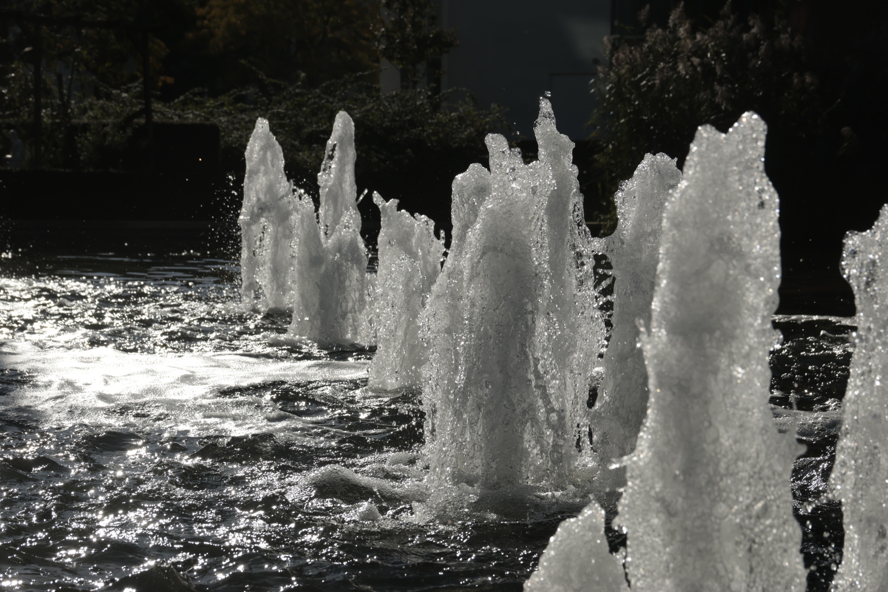 Stad 290924 Den Bosch 48A0499