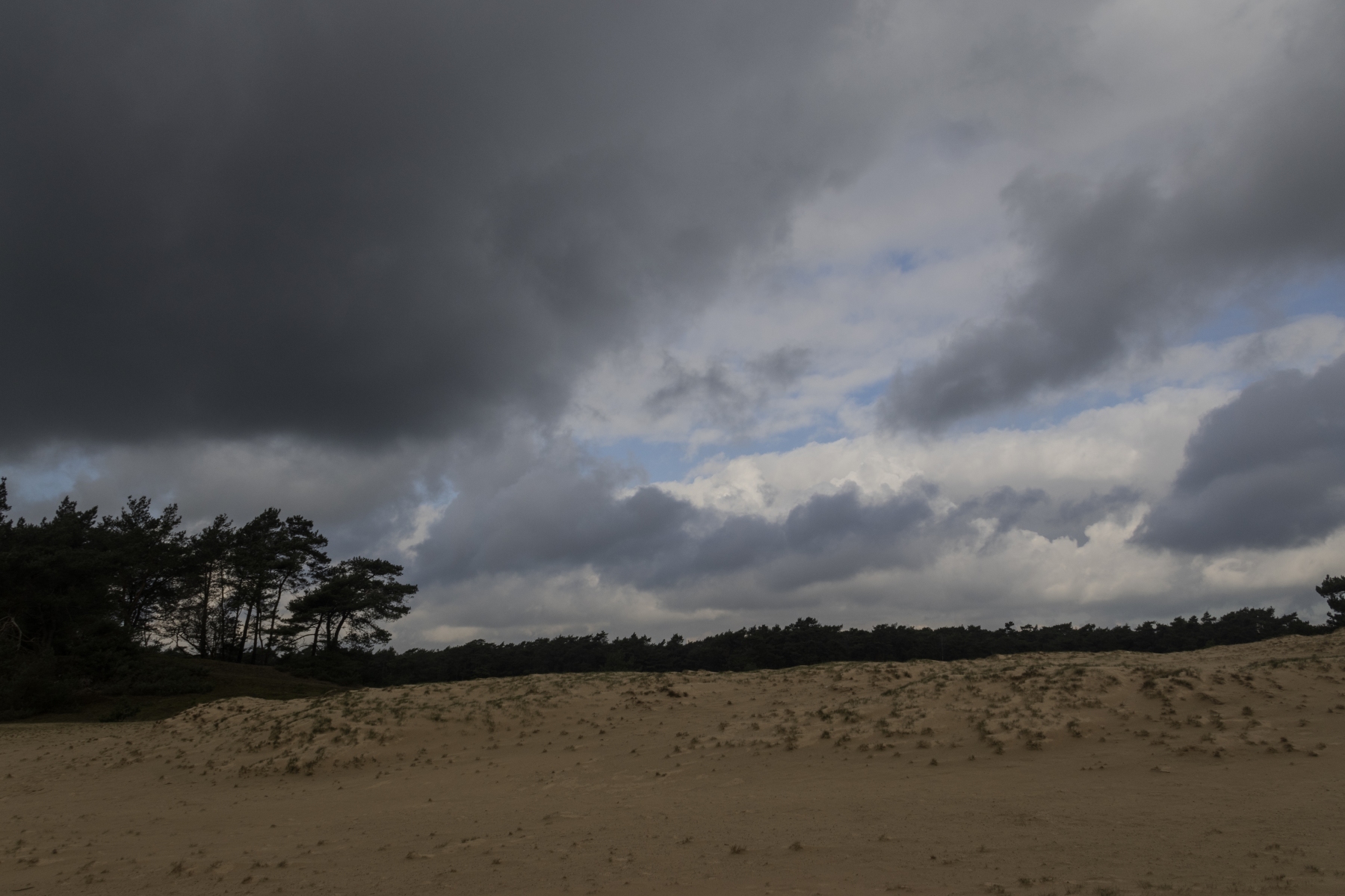 Wekeromse zand 250224 Wekerom 48A9316