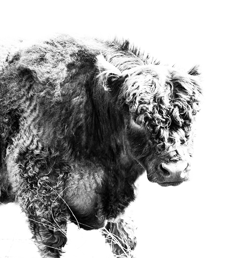 zelfontspanners 140419 millingenwaard mg 6373 2