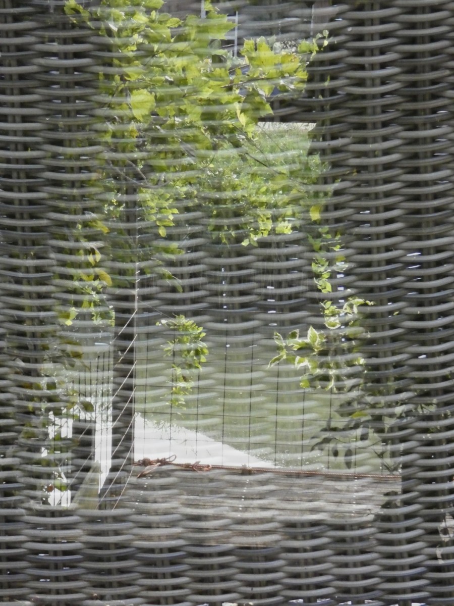 109be227 d5de 4634 b046 660a36e24f4e